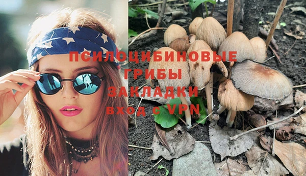 крисы Алзамай