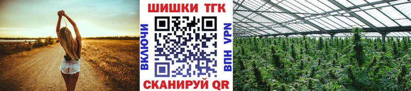 Шишки марихуана семена  где продают   Петропавловск-Камчатский 